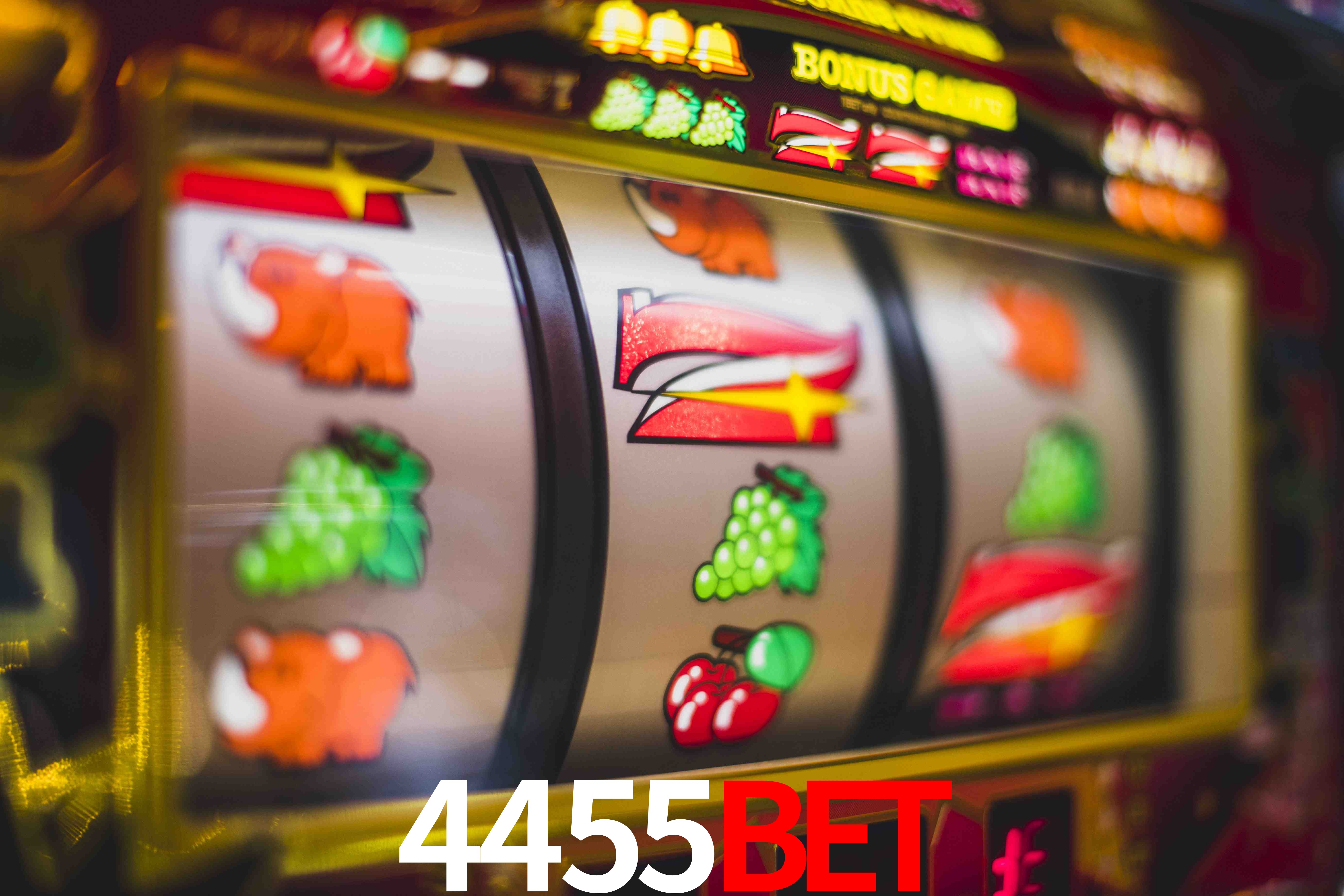 Tennis Betting 4455Bet